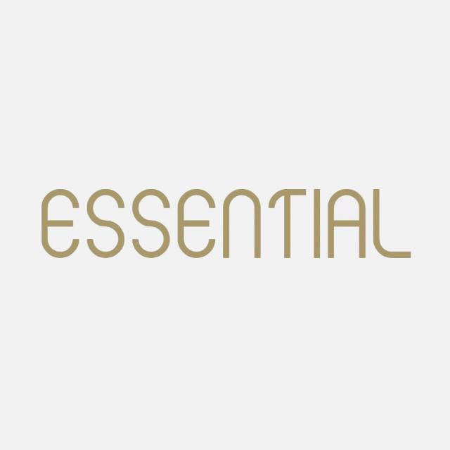 essential shoes logo.jpg